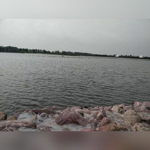 鄲城縣洺河最新動(dòng)態(tài)