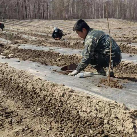 吉林省林場改革動態(tài)更新