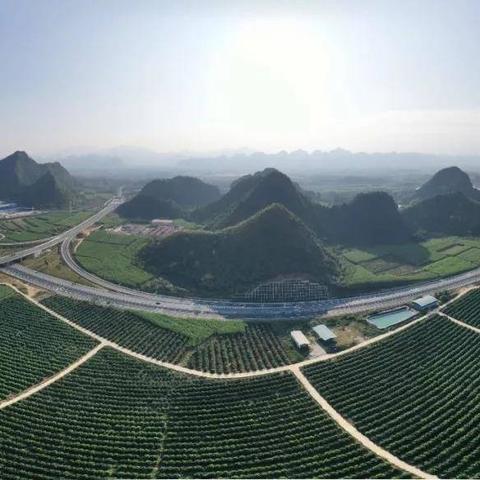 崇水高速公路最新進展消息