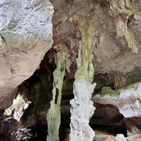 英德九龍鎮(zhèn)最新新聞動態(tài)報道