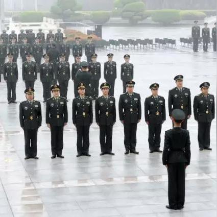 揭秘31集團軍最新動態(tài)，深度報道傳遞最新消息