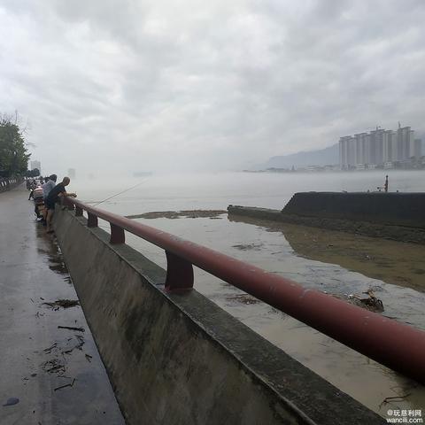 鉤魚發(fā)燒友最新版深度體驗解析