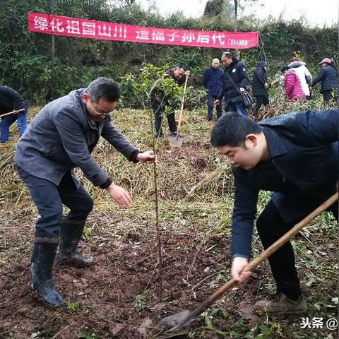 廣安區(qū)廣羅鄉(xiāng)最新發(fā)展概覽