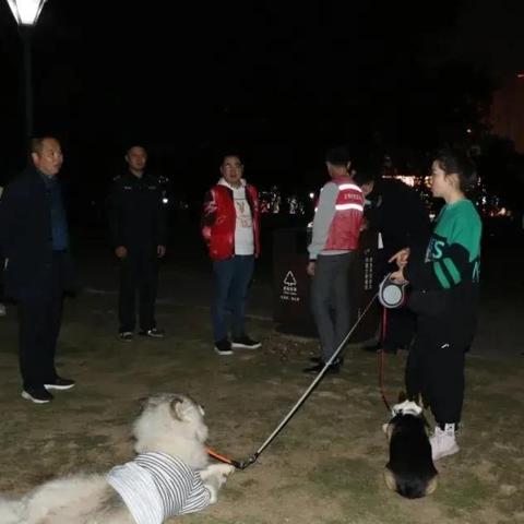 六安公園華府項(xiàng)目最新進(jìn)展更新