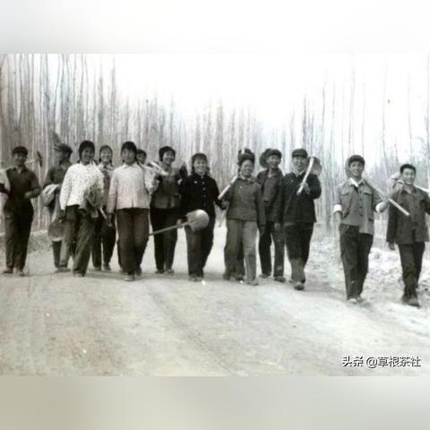 農(nóng)一師十三團(tuán)最新動(dòng)態(tài)報(bào)道