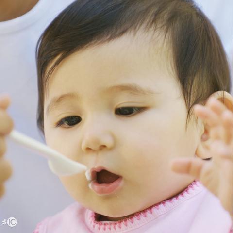 萌寶輔食APP最新版下載使用詳解