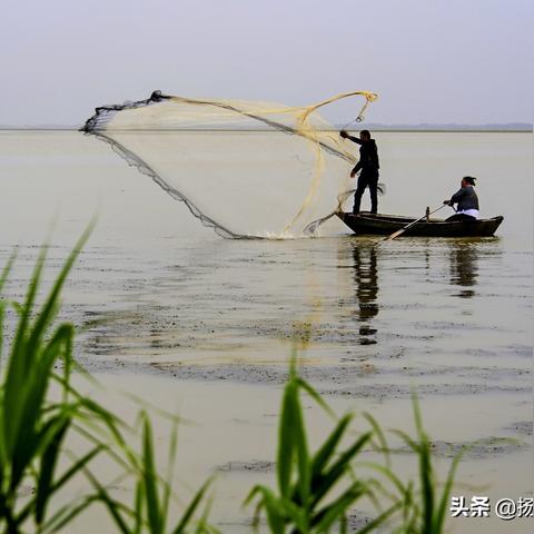 高郵八橋揚(yáng)大項(xiàng)目最新進(jìn)展速遞