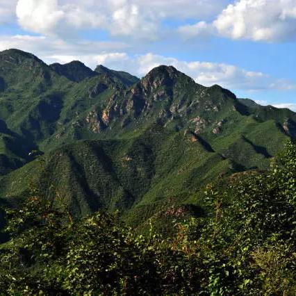 張家口市白龍最新動(dòng)態(tài)報(bào)道