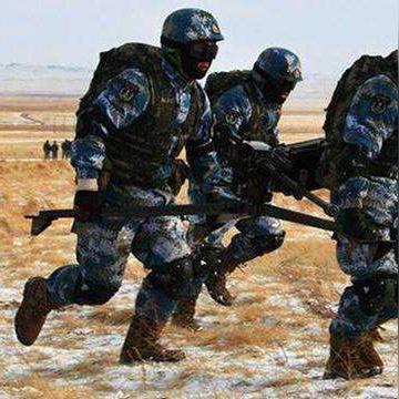 叢林大作戰(zhàn)下載攻略，最新版游戲介紹與下載指南