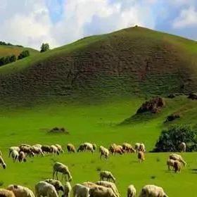 獨秀大道三期最新進展消息通知