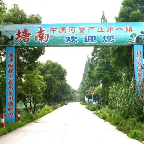 馬鞍山圍烏路最新動(dòng)態(tài)報(bào)道