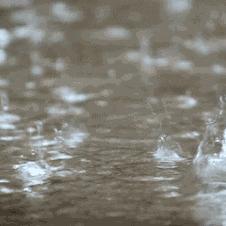 瑪娃臺風(fēng)最新動態(tài)消息